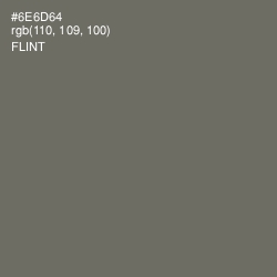 #6E6D64 - Flint Color Image