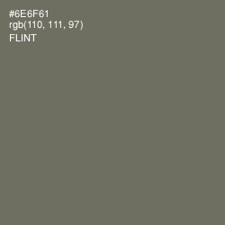 #6E6F61 - Flint Color Image