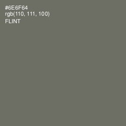 #6E6F64 - Flint Color Image