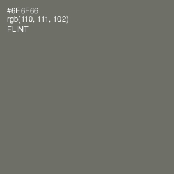 #6E6F66 - Flint Color Image