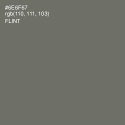 #6E6F67 - Flint Color Image