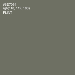 #6E7064 - Flint Color Image