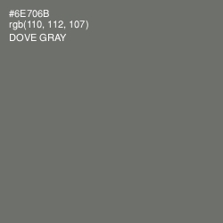 #6E706B - Dove Gray Color Image