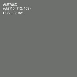 #6E706D - Dove Gray Color Image