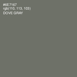 #6E7167 - Dove Gray Color Image
