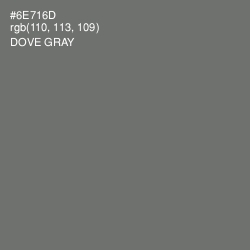 #6E716D - Dove Gray Color Image