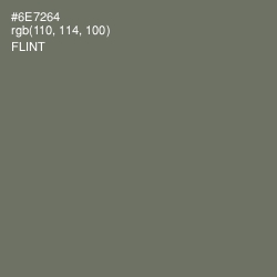 #6E7264 - Flint Color Image