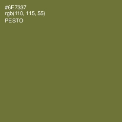 #6E7337 - Pesto Color Image