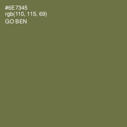 #6E7345 - Go Ben Color Image