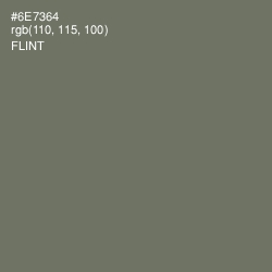 #6E7364 - Flint Color Image