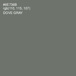 #6E736B - Dove Gray Color Image