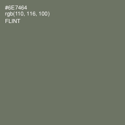 #6E7464 - Flint Color Image