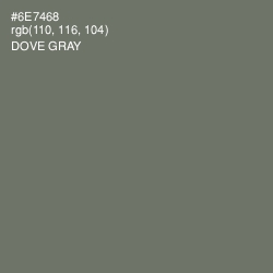 #6E7468 - Dove Gray Color Image