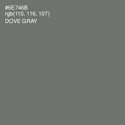 #6E746B - Dove Gray Color Image