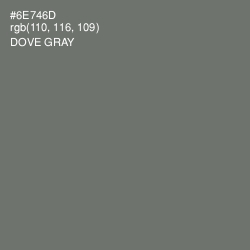 #6E746D - Dove Gray Color Image