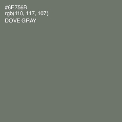 #6E756B - Dove Gray Color Image