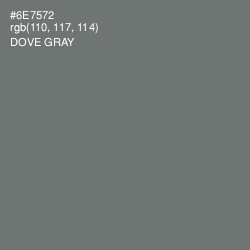 #6E7572 - Dove Gray Color Image