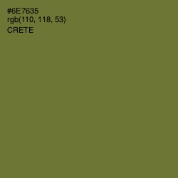 #6E7635 - Crete Color Image