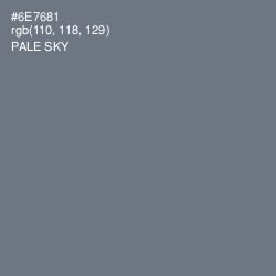 #6E7681 - Pale Sky Color Image