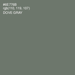 #6E776B - Dove Gray Color Image