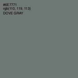 #6E7771 - Dove Gray Color Image