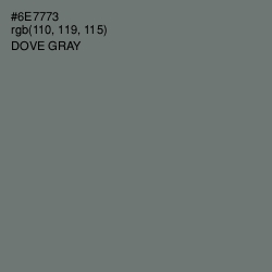 #6E7773 - Dove Gray Color Image