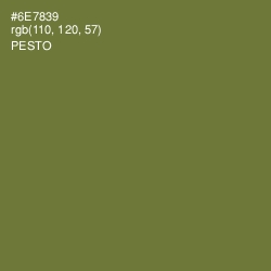#6E7839 - Pesto Color Image