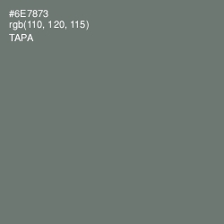 #6E7873 - Tapa Color Image