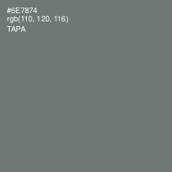 #6E7874 - Tapa Color Image