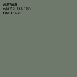 #6E796B - Limed Ash Color Image