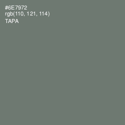 #6E7972 - Tapa Color Image