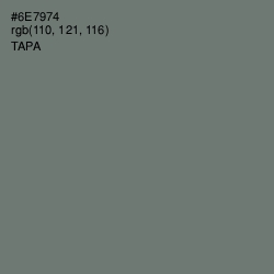 #6E7974 - Tapa Color Image