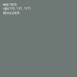 #6E7975 - Boulder Color Image