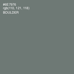 #6E7976 - Boulder Color Image