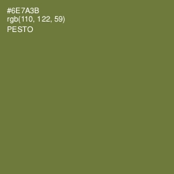 #6E7A3B - Pesto Color Image