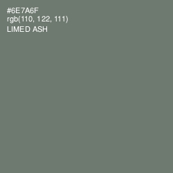 #6E7A6F - Limed Ash Color Image