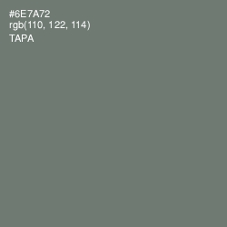 #6E7A72 - Tapa Color Image