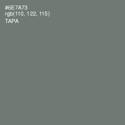 #6E7A73 - Tapa Color Image