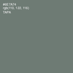 #6E7A74 - Tapa Color Image