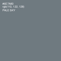 #6E7A80 - Pale Sky Color Image