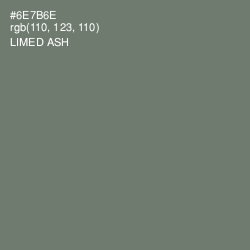 #6E7B6E - Limed Ash Color Image