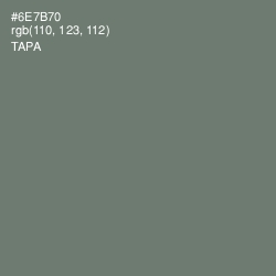 #6E7B70 - Tapa Color Image