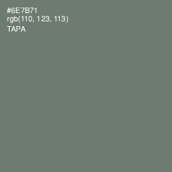 #6E7B71 - Tapa Color Image