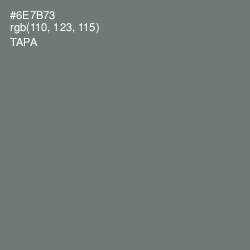 #6E7B73 - Tapa Color Image