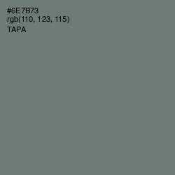 #6E7B73 - Tapa Color Image