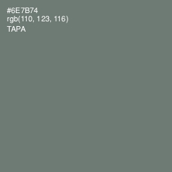 #6E7B74 - Tapa Color Image