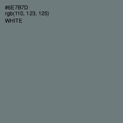 #6E7B7D - Boulder Color Image