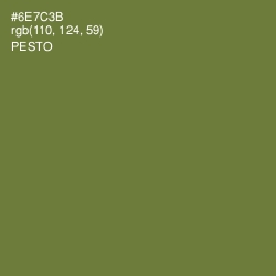 #6E7C3B - Pesto Color Image