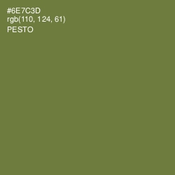 #6E7C3D - Pesto Color Image