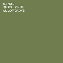 #6E7C50 - Willow Grove Color Image